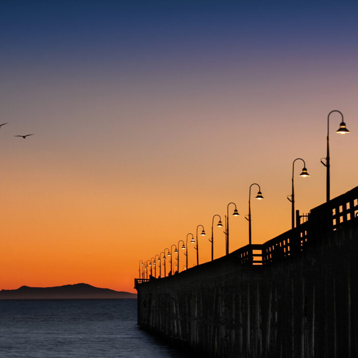 Silhouette of a pier, the ocean, and seagulls in flight with a beautiful sunset backdrop